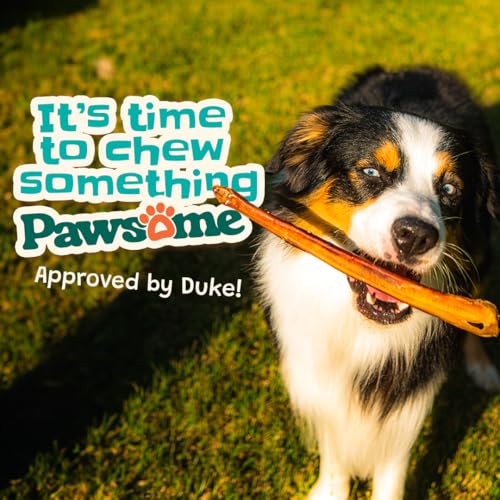 6 - 7" Premium Bully Sticks - 10 count - Pawsome Ranch ™