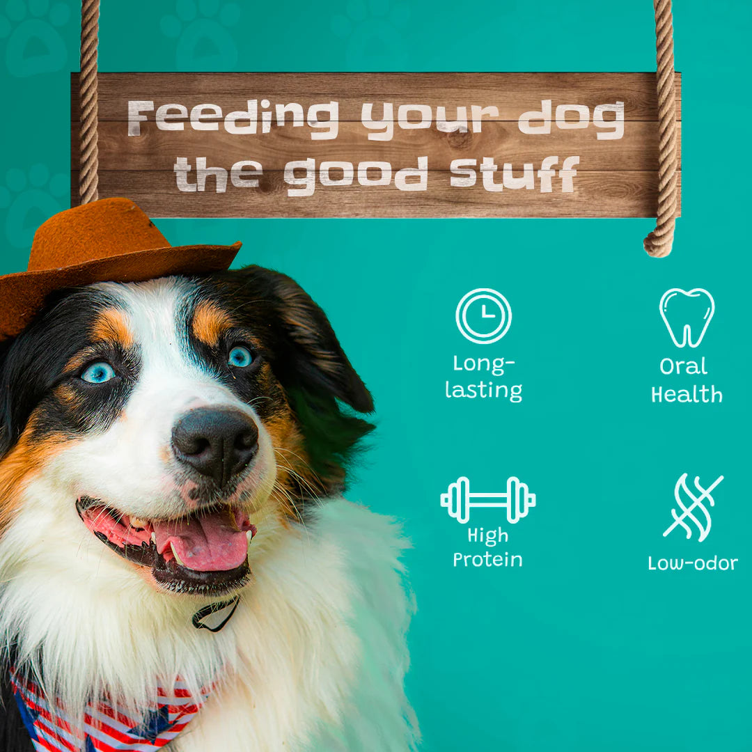 Pawsome Ranch banner mobile