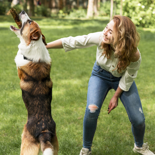 5 Ways to Strengthen the Bond with Your Dog - Pawsome Ranch ™