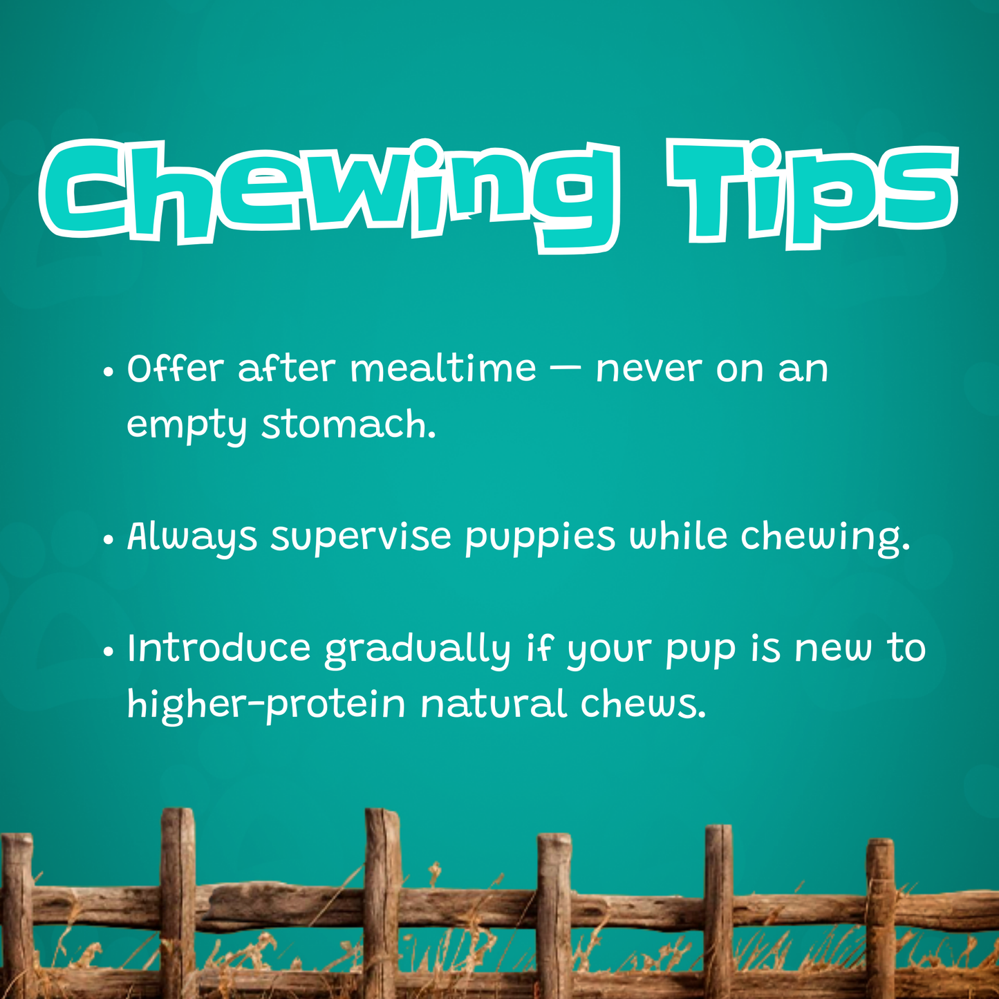 6" Junior Bully Sticks Beef Bladder - 15 Count