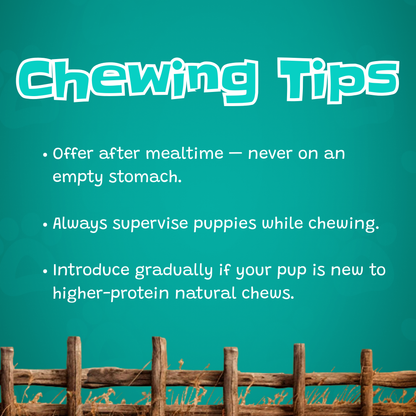 6" Junior Bully Sticks Beef Bladder - 15 Count