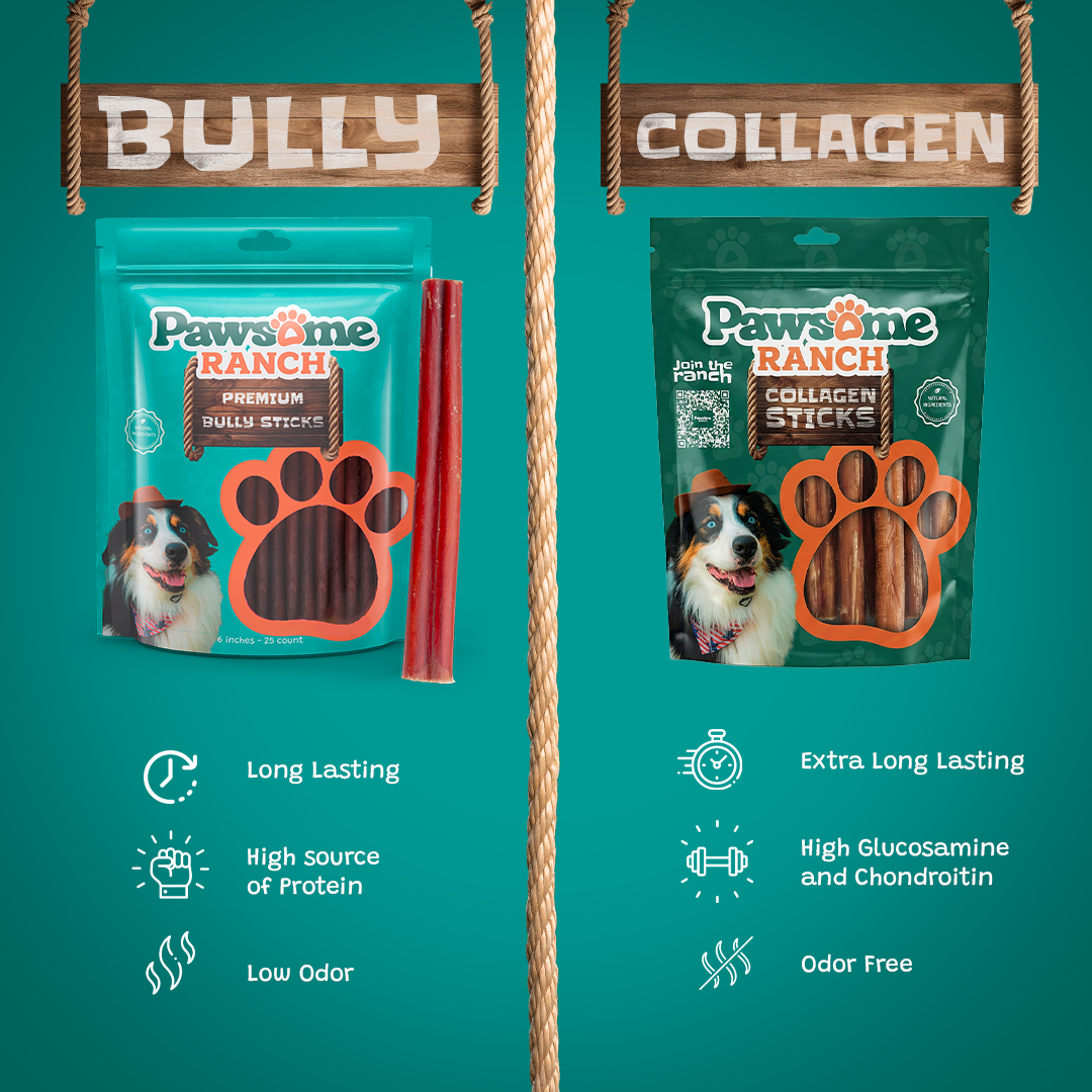 Bully sticks vs collagen sticks for dogs comparison long lasting dog chews low odor high protein Pawsome Ranch