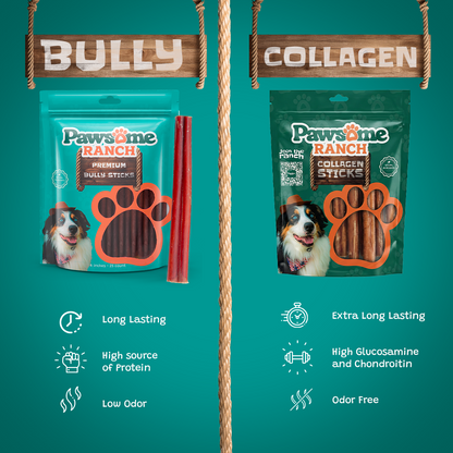 Bully sticks vs collagen sticks for dogs comparison long lasting dog chews low odor high protein Pawsome Ranch